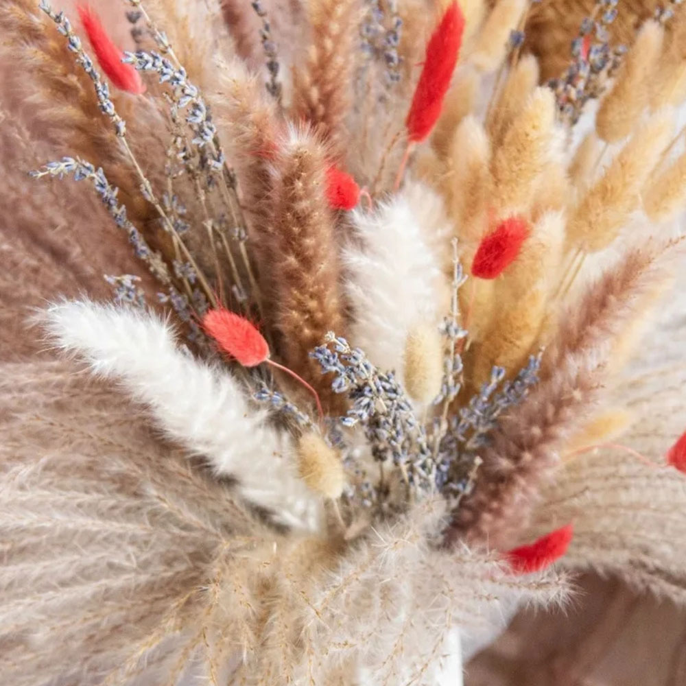 باقة زهور بامباس طبيعية مجففة  - مراجعة Pampas Grass Decor وسعره