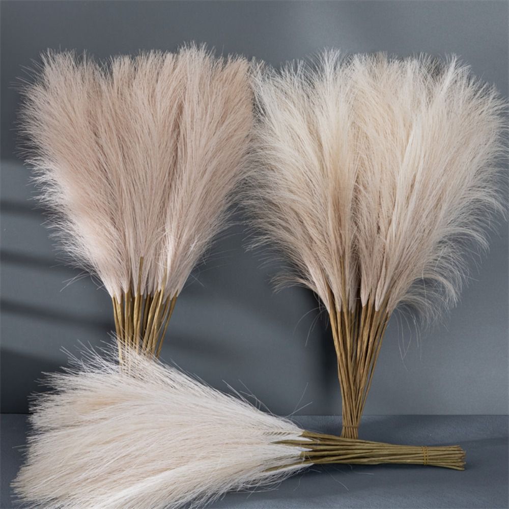 10 قطع/مجموعة لتزيين المنزل، ع - مراجعة Pampas Grass Decor وسعره