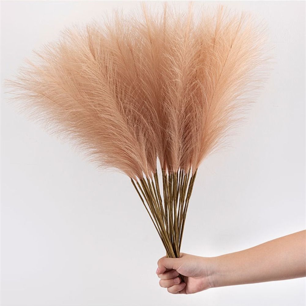 10 قطع/مجموعة لتزيين المنزل، ع - مراجعة Pampas Grass Decor وسعره