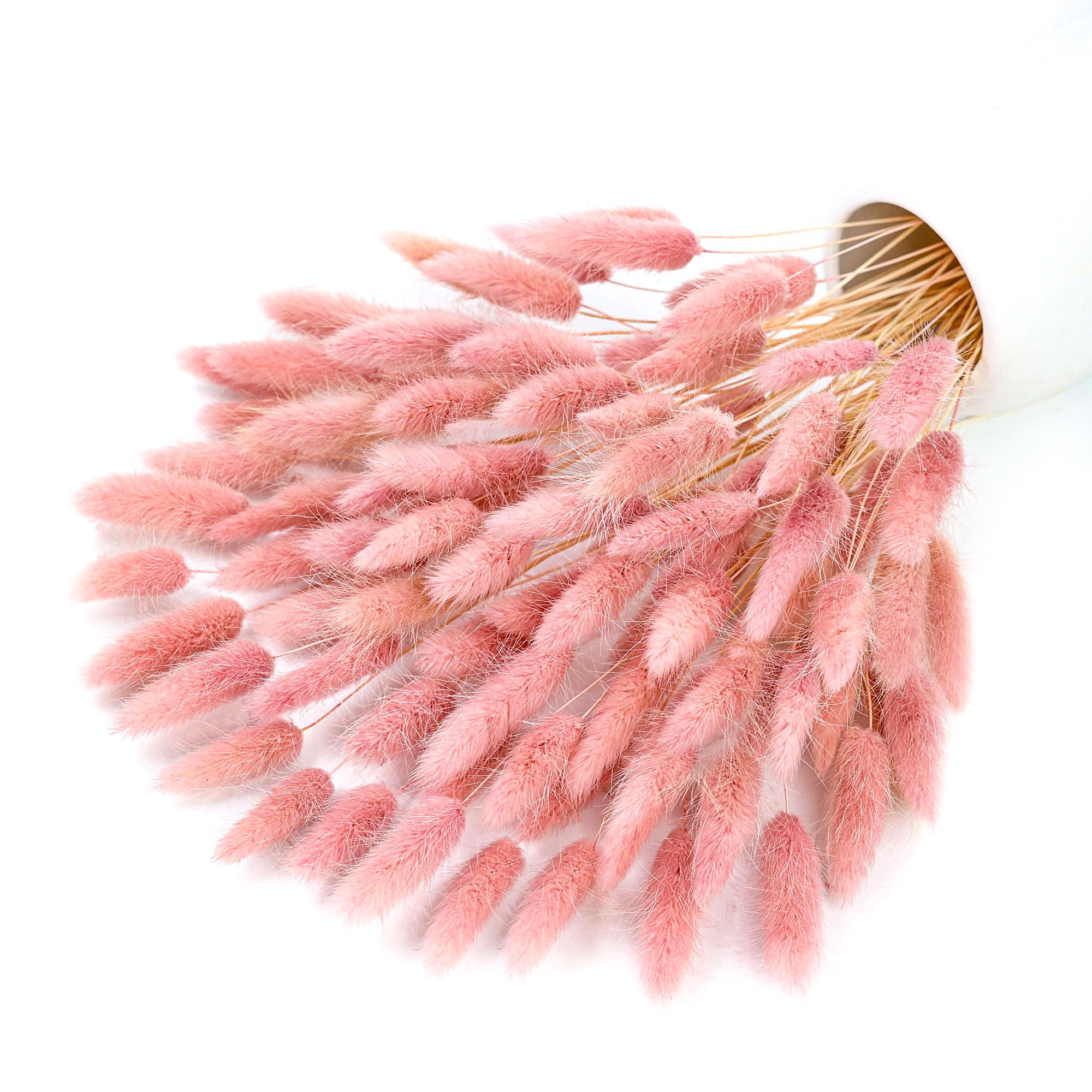 120 الجذعية الوردي المجففة بام - مراجعة Pampas Grass Decor وسعره